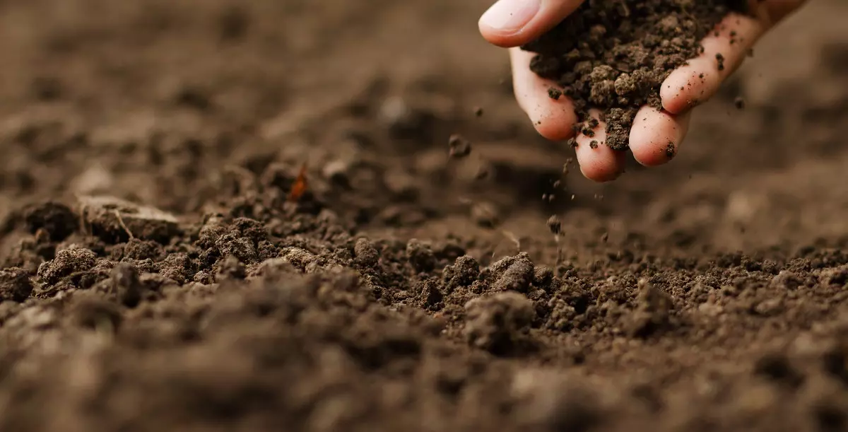 Empresa de Geotécnicos Tarragona